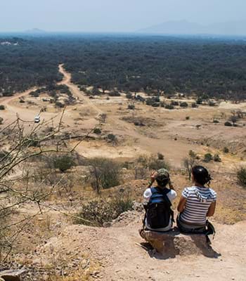 Walk and observation through the Pomac Forest